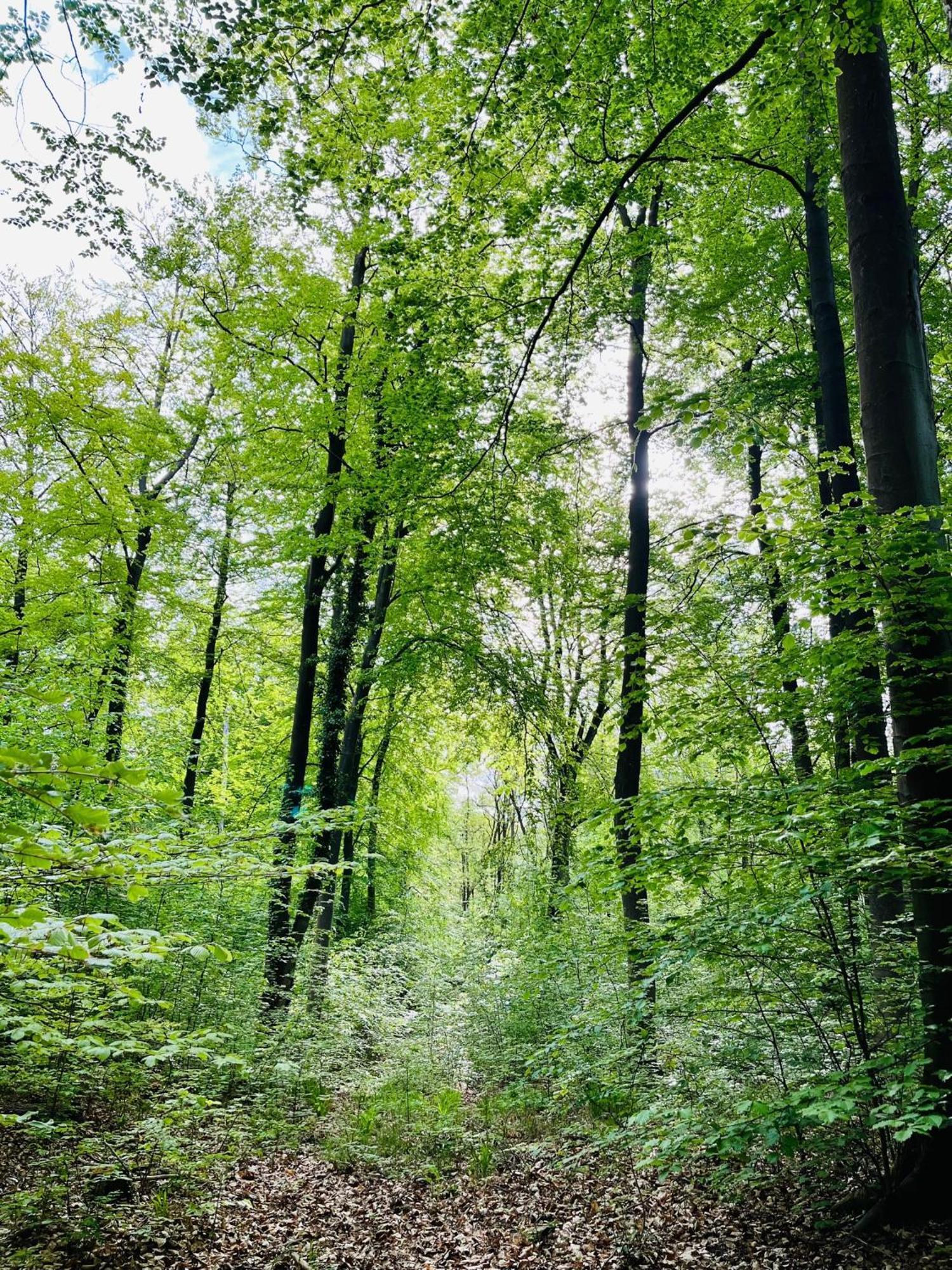 Kornspeicher Himmelpfort Exterior foto